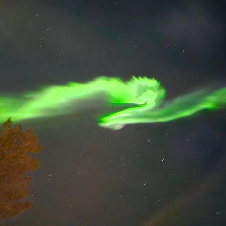 Innholdsrik Og Koselig Leilighet I Svolvaer Lofoten Luaran gambar
