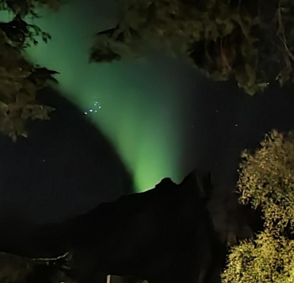 Innholdsrik Og Koselig Leilighet I Svolvaer Lofoten Luaran gambar